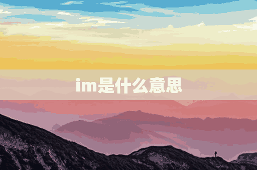 im是什么意思(im是什么意思医学用语)